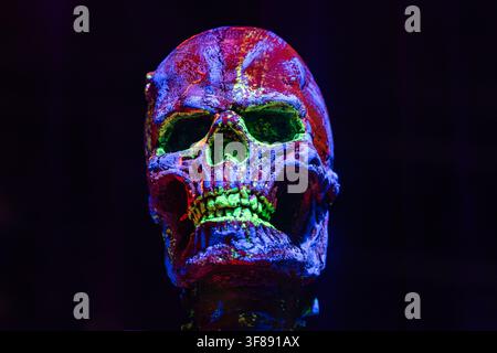 Human skull sculpture painted with neon colorful fluorescent paint glowing under UV ultraviolet light on black background Stock Photo