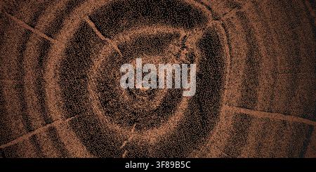 Natural wood grain texture with tree ring pattern vector illustration background. Stock Vector