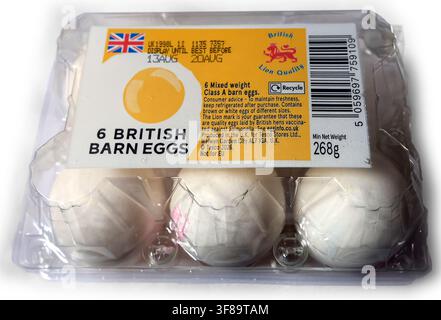 Photograph of - Box of six white eggs - on light background Stock Photo