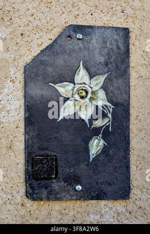 Coloured artwork of daffodil flower painted on old roof slate on house wall in Montmorillon, Vienne (86), France. Stock Photo