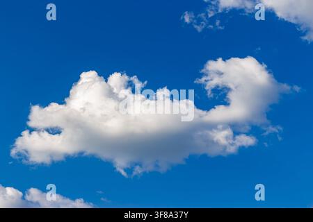 Fluffy white cloud resembling a flying dragon soaring across a bright blue summer sky, beautiful pareidolia effect captured in a clear atmosphere with Stock Photo