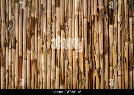 Close-up of natural bamboo or reed screening arranged in vertical panels, featuring tightly packed parallel stalks in varied tan, beige, and brown Stock Photo
