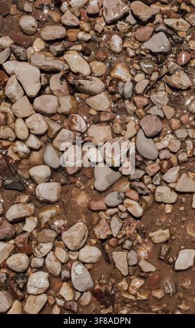 Vertical full frame top view of colorful wet river pebbles gravel stones covered in shallow clear water with sunlight glares background texture nature Stock Photo