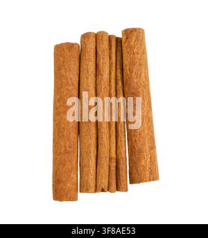 Cinnamon sticks isolated on white background Stock Photo