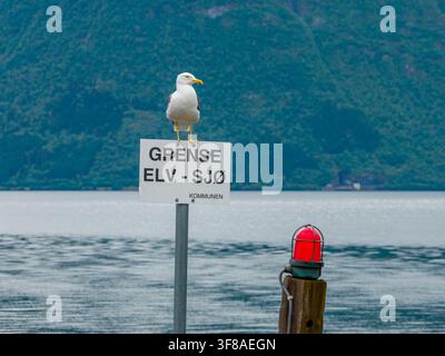 View of a seagull perched on a sign marking a river and sea border with a red navigation beacon and mountains in the background in Sylte, More og Roms Stock Photo