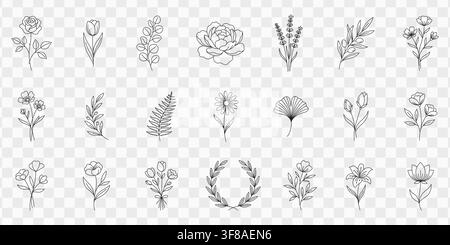 Minimalist botanical floral line art vector set with elegant flowers and leaves Stock Vector