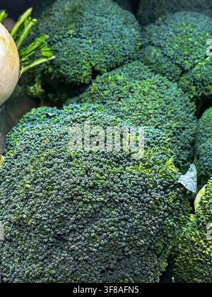 Healthy food. Broccoli florets display rich green colors and intricate ...