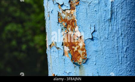 Close-up of heavily peeling and cracked light blue paint on a rusty metallic surface with a blurred green background. Stock Photo