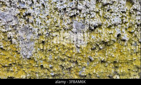 Old Rough Gray Concrete Facade Partly Covered with Green Moss, Switzerland Stock Photo