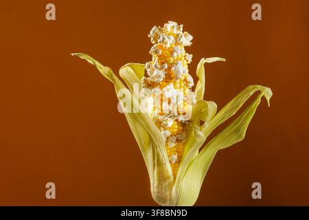 Fresh corn cob with popped popcorn kernels emerging from the ear on warm backdrop, illustrating popcorn making, snack ingredients and playful food Stock Photo