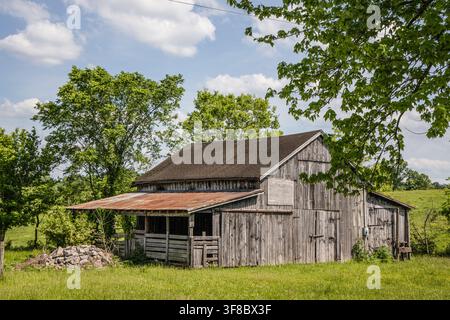 View of a weathered wooden barn with a rusty metal roof, set in a lush green field surrounded by trees under a bright blue sky in Kentucky, United Sta Stock Photo