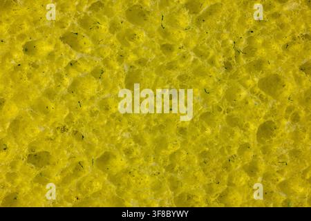 A yellow cleaning sponge closeup. Stock Photo