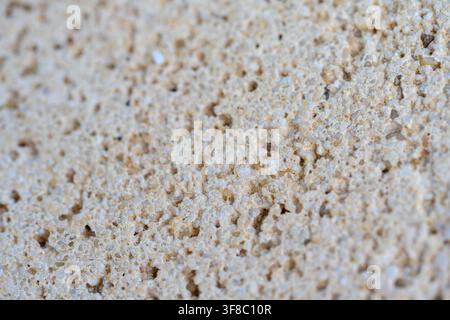 Fine-grained texture of light beige concrete surface. Porosity visible through irregularly spaced holes and indentations. Slight dusting of fine parti Stock Photo