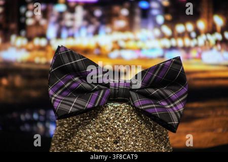 Purple and black tartan bow tie displayed against colourful blurred lights. Stock Photo