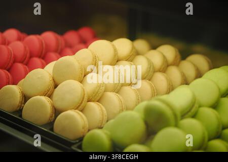 Colorful macarons arranged in a display case Stock Photo