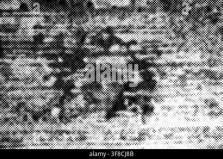 Abstract black and white halftone background with grunge dot pattern for artistic overlays and comic styles. Stock Photo