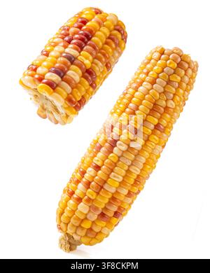 Boiled multicolored waxy corn cobs and cut segments isolated on white background Stock Photo