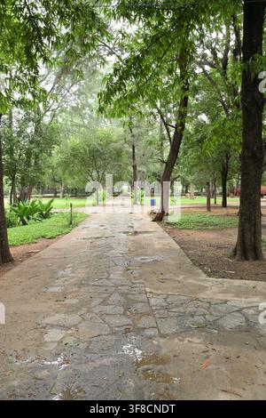 Wet stone pathway through lush tropical park with green trees after rainfalls Stock Photo