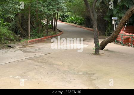 Empty winding pathway through lush tropical park surrounded by green treess Stock Photo