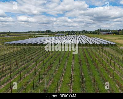 Aerial view of a large solar panel array installed over a field of crops under a cloudy sky in the Netherlands. Stock Photo