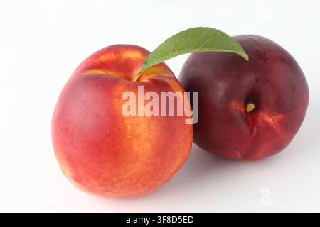 Fresh Nectarines with Green Leaf Isolated on White Stock Photo
