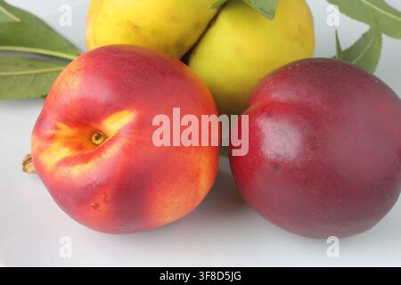 Fresh Nectarines with Green Leaf Isolated on White Stock Photo