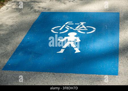 Blue road marking indicating a shared pedestrian and bicycle lane on the asphalt. Stock Photo