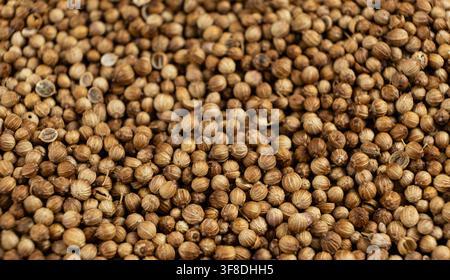 Dried coriander seeds background for cooking and recipe design. Stock Photo