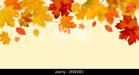 Autumn Leaves Border Background Stock Vector