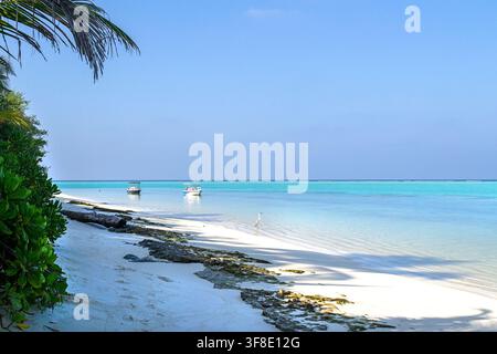 Grey Heron And Wooden Boat In Maldives Stock Photo
