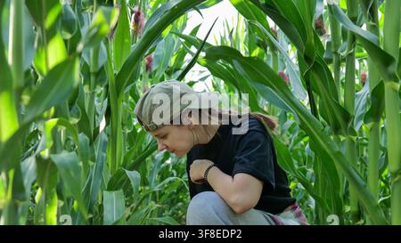 Woman Crouching Among Corn Plants in Agricultural Field Stock Photo