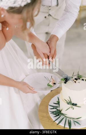 Bride and groom cutting elegant wedding cake Stock Photo