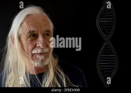 Long haired gray haired man is looking at a DNA structure on a black background. Horizontally. Stock Photo