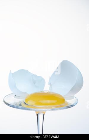 Egg yolk on a glass coupe framed by two upright cracked shell halves, white background Stock Photo