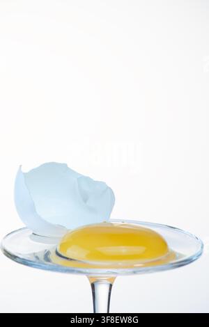 Egg yolk on a glass coupe stand next to a broken shell fragment, white background Stock Photo
