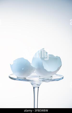 Empty cracked eggshell halves resting on a glass stand, white background food photography Stock Photo