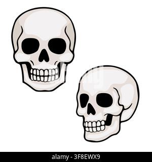Human skull vector illustration set with front and side profile views in a clean cartoon style Stock Vector