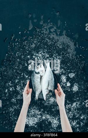 Fresh sea bream on ice Stock Photo
