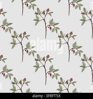 Vector seamless pattern with rosehip branches, green leaves, and red berries on sage green background. Botanical print for cosmetic packaging design. Stock Vector