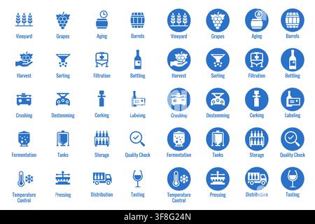 Wine production process icon set with vineyard, fermentation and bottling Stock Vector