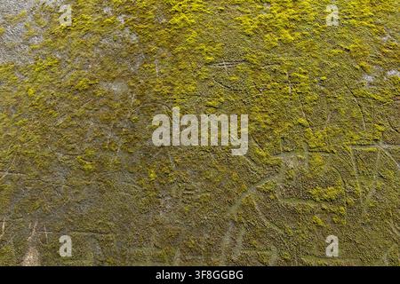 moss-covered rock, green textured, background texture, close up, fills the frame Stock Photo
