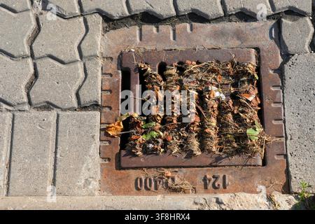 Close-up of a clogged street drain filled with dry leaves, grass and debris, showing poor drainage maintenance and potential flood risk Stock Photo