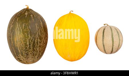 various melons path isolated on white Stock Photo