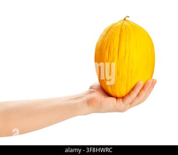 casaba melon in hand path isolated on white Stock Photo