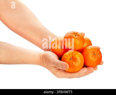 tangerine heap in hand path isolated on white Stock Photo
