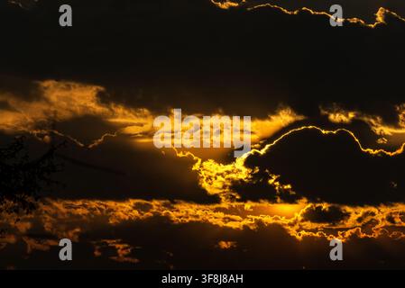 View of a dramatic sunset with golden light illuminating the edges of dark, heavy clouds and silhouettes of tree branches in Jahanian, Pakistan. Stock Photo
