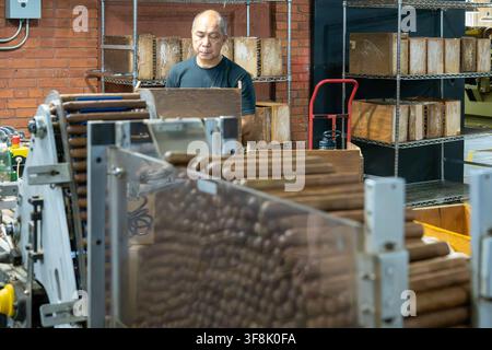 Tampa, FL, USA. 12th Aug 2026. A worker tends a hopper piled with unbanded cigars feeding a cleated conveyor toward a wrapping machine, with wooden storage crates racked behind him, in the machine-rolling area of J.C. Newman Cigar Co.'s El Reloj factory in Ybor City. Founded in 1895, fourth-generation J.C. Newman is America's oldest family-owned premium cigar maker, and the 1910 clock-tower building - part of a National Historic Landmark District - is the last operating historic cigar factory in the United States. Credit: Tosh Persons / Ģ����ý Live News Stock Photo