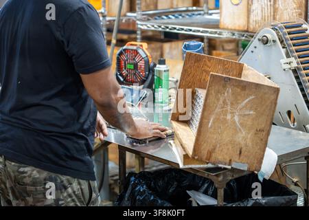 Tampa, FL, USA. 12th Aug 2026. A worker gathers handfuls of cellophane-wrapped cigars from a wooden transfer box, packed in tight rows fresh off a wrapping machine, in the machine-rolling area of J.C. Newman Cigar Co.'s El Reloj factory in Ybor City. Founded in 1895, fourth-generation J.C. Newman is America's oldest family-owned premium cigar maker, and the 1910 clock-tower building - part of a National Historic Landmark District - is the last operating historic cigar factory in the United States. Credit: Tosh Persons / Ģ����ý Live News Stock Photo