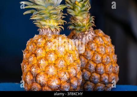 Fresh pineapple from the Amazon Rainforest region of Brazil, vibrant yellow with incredible texture and symmetry patterns. Stock Photo