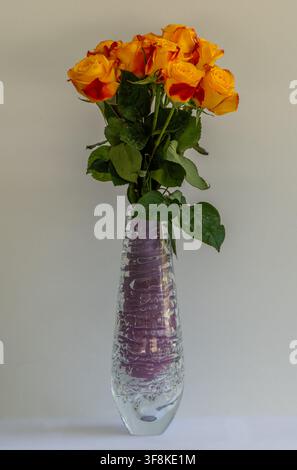 Beautiful bouquet of yellow and red roses in a gorgeous tall glass light purple vase Stock Photo